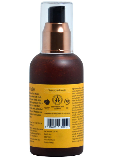 Organic Face Wash Dry to Normal Skin, Soul Tree (120ml)