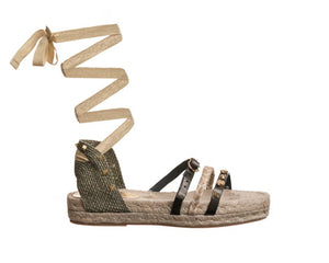 Olive Olive (insider)