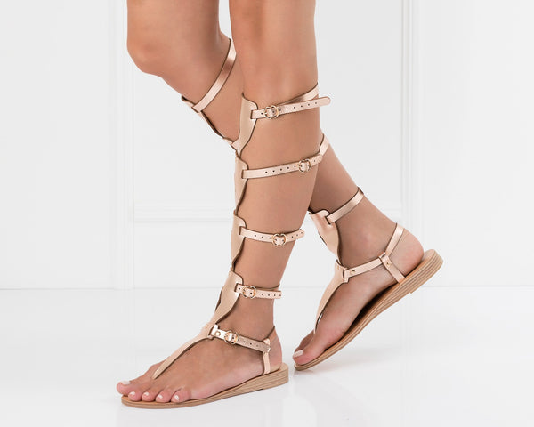 Rose-Gold Rose-Gold (insider)